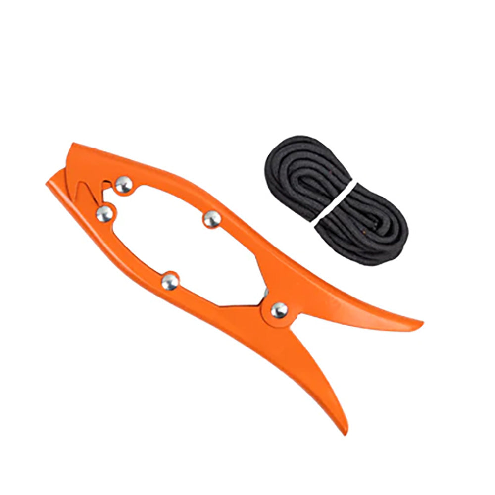 DB Marine Supplies