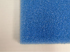 SKID PLATE FOAM BLUE