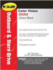 COLOR VISION GLOSS BLACK