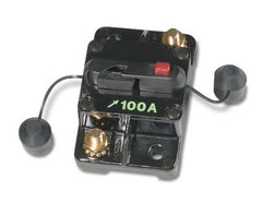 MANUAL& SWITCHABLE 100AMP