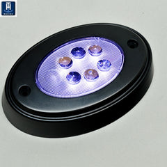 BLACK OVAL COURTESY LED W/ MNT RING
