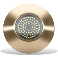 Lumishore SUPRA THX804 Thru-Hull Mount and Driver Blue/White LED