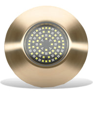 Lumishore SUPRA TIX1604 Interchageable Thru Hull Blue/White LED