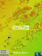 Load image into Gallery viewer, CMOR MAPPING GULF OF MAINE For Simrad NSX