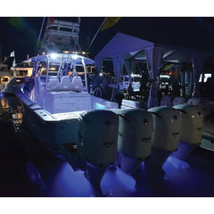 LUMITEC Caprera2 Wide Oval Flood 5K WhiteDim/RedDim | 101103