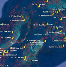 Load image into Gallery viewer, StrikeLines South Florida and Keys Reefs and Hardbottom
