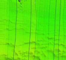 Load image into Gallery viewer, Strikeline 3D South Carolina & Georgia