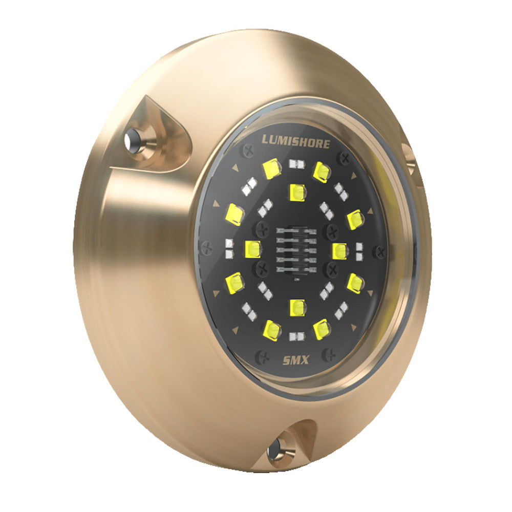 Lumishore ECLIPSE SMX54 Single Surface Mount Underwater - Light Blue/White [010-04505-00]
