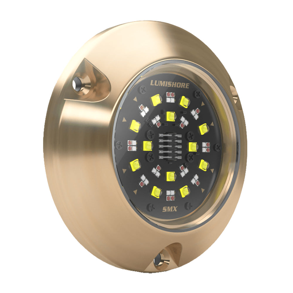 Lumishore EOS SMX154 Single Surface Mount Light [010-04508-00]