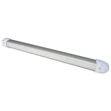 Load image into Gallery viewer, Lumitec Rail2 12" Light - White/Red Dimming [101082]
