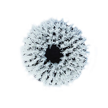 Load image into Gallery viewer, Shurhold 6-1/2" Stiff Brush f/Dual Action Polisher [3205]
