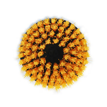 Load image into Gallery viewer, Shurhold 6-1/2" Medium Brush f/Dual Action Polisher [3206]
