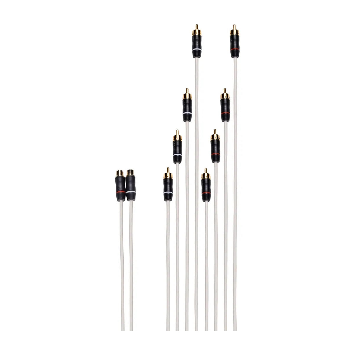 Fusion RCA Splitter Cable 2 Female RCAfts to 8 Male RCAf