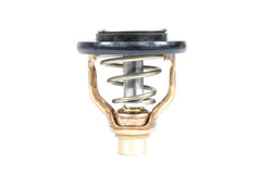 THERMOSTAT KIT