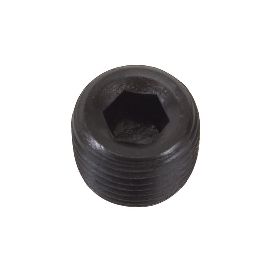 1/2 IN PIPE PLUG