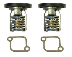 THERMOSTAT KIT