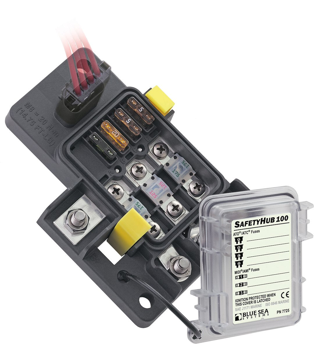 MODULE SAFETY CIRCUIT 100