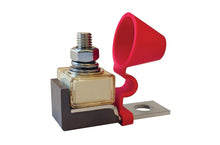 Load image into Gallery viewer, 100 AMP FUSE ASSEMBLY
