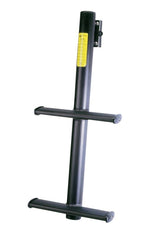 BASS BOAT LADDER