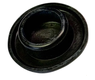 PLUG CAP