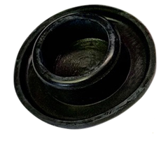 PLUG CAP
