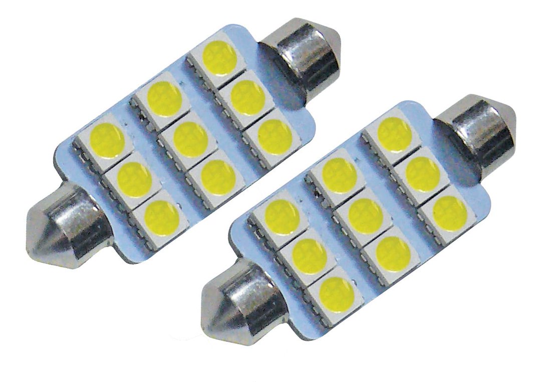 2PK LED FESTOON BW