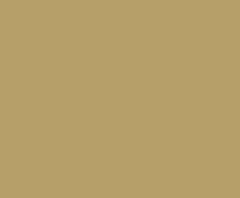 4'6'X16' SLIDEOUT ROOF DIFLEXII TAN