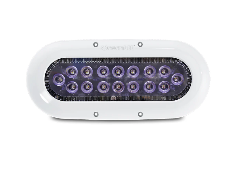 Ocean LED X-Series X16 - Colours LEDs [012311C]