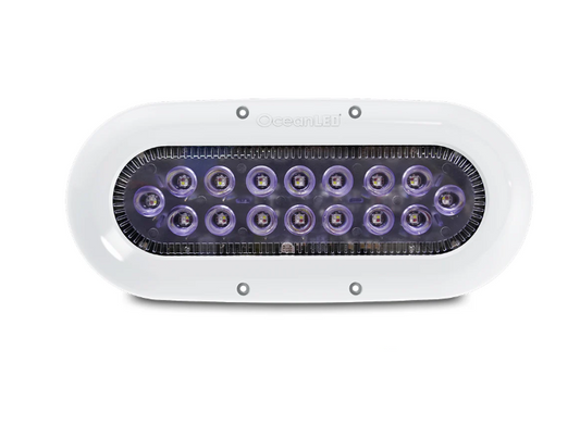 Ocean LED X-Series X16 - Colours LEDs [012311C]