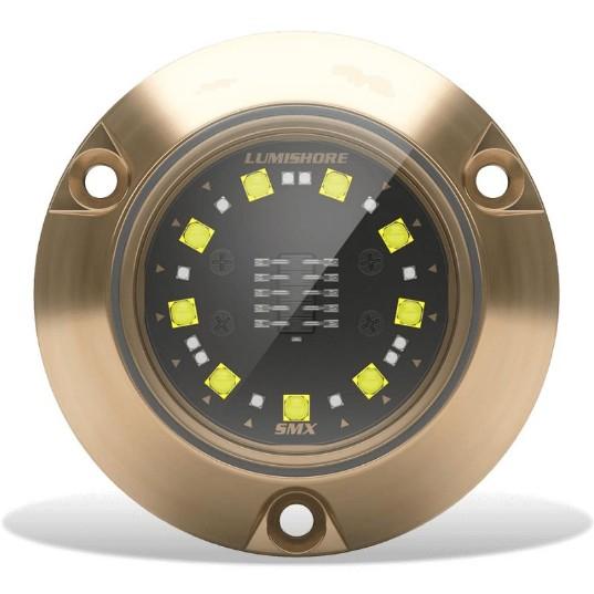 LUMISHORE SMX24 Underwater Surface Mount Blue and White Single Light | 60-0533 | 010-04504-00