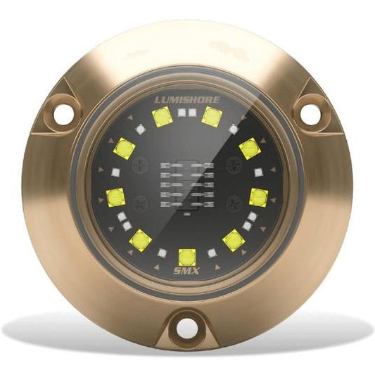 LUMISHORE SMX24 Underwater Surface Mount Blue and White Single Light | 60-0533 | 010-04504-00