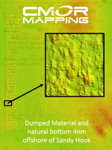 Load image into Gallery viewer, CMOR MAPPING NEW YORK - NEW JERSEY For Simrad, Lowrance, B&amp;G, Mercury Vessel View
