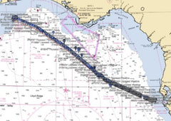 Strikelines Gulfstream Pipeline with Side Scan Imagery