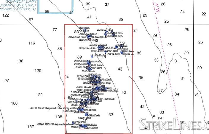 StrikeLines Tampa Sticky Grounds North