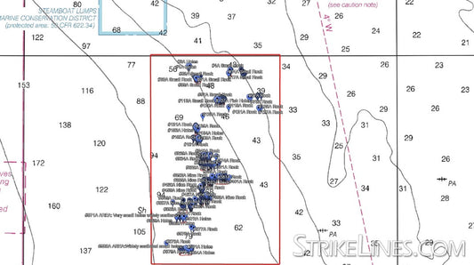 StrikeLines Tampa Sticky Grounds North Raymarine