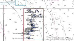 StrikeLines Tampa Sticky Grounds North Raymarine