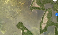 StrikeLines 4K Pine Island Inshore