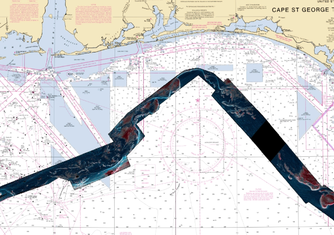 StrikeLines 3D Shelf Edge Synthetic (Gulf of Mexico)